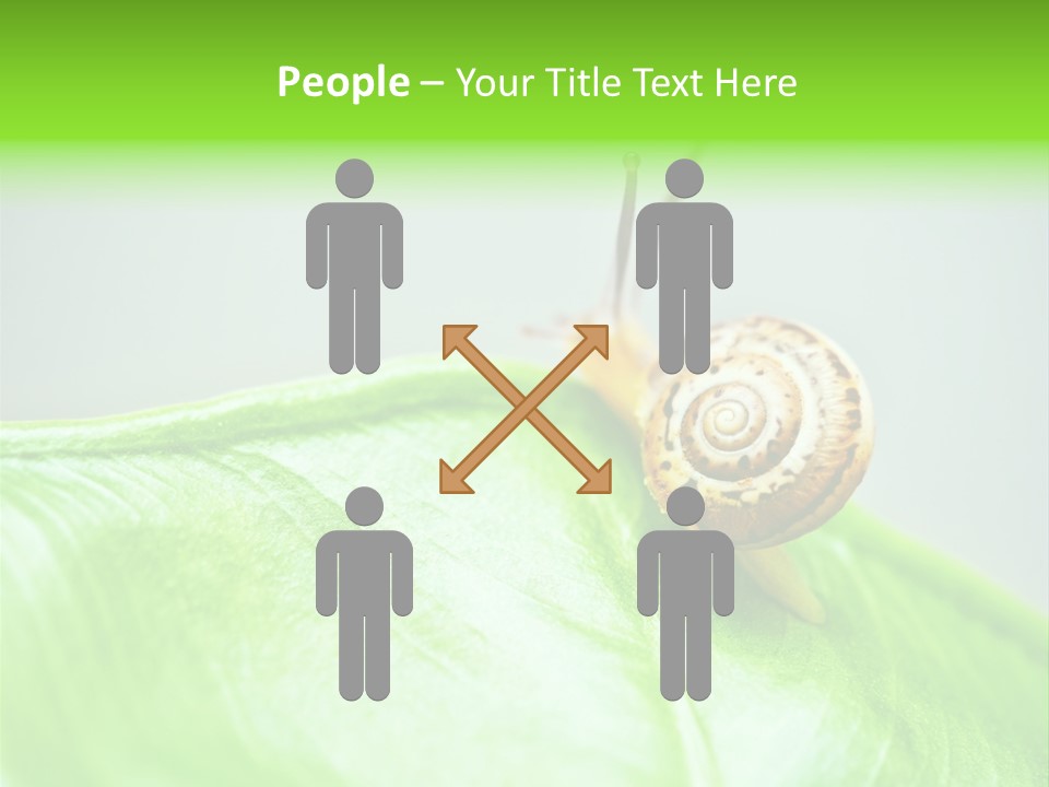 Plant Wet Alone PowerPoint Template