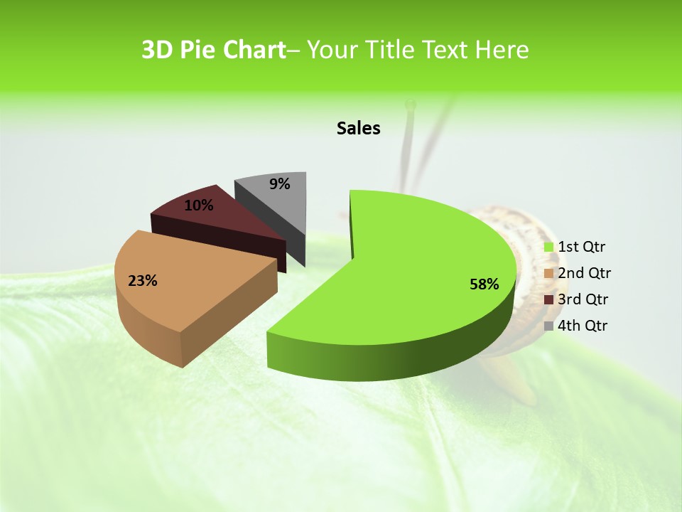 Plant Wet Alone PowerPoint Template