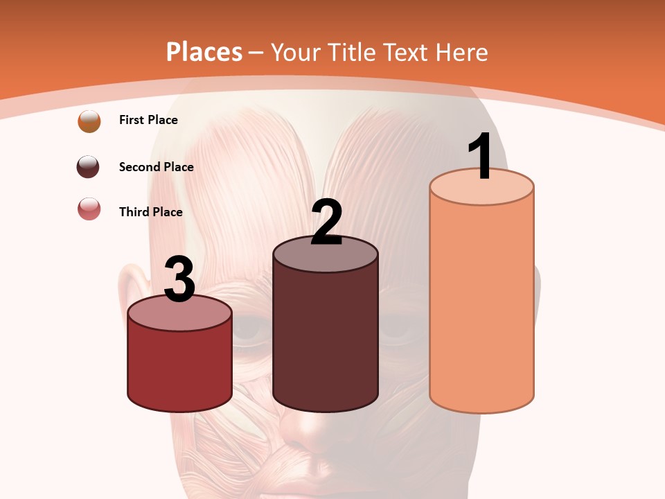 Group Company Bu Ine PowerPoint Template