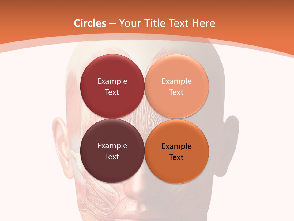 Group Company Bu Ine PowerPoint Template