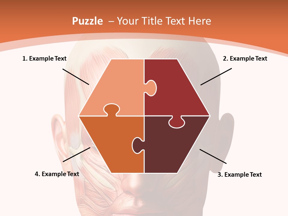 Group Company Bu Ine PowerPoint Template