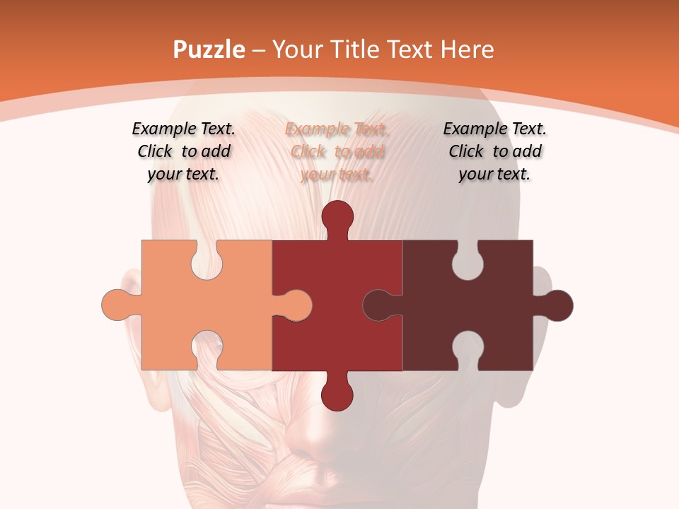 Group Company Bu Ine PowerPoint Template