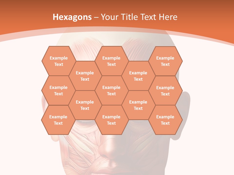 Group Company Bu Ine PowerPoint Template