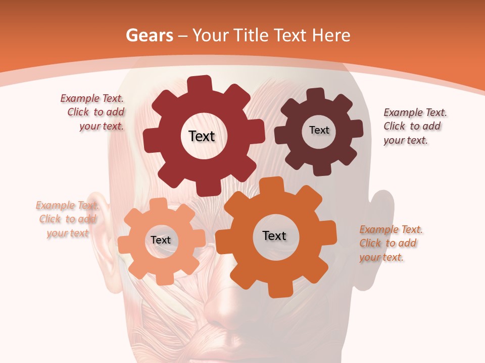 Group Company Bu Ine PowerPoint Template