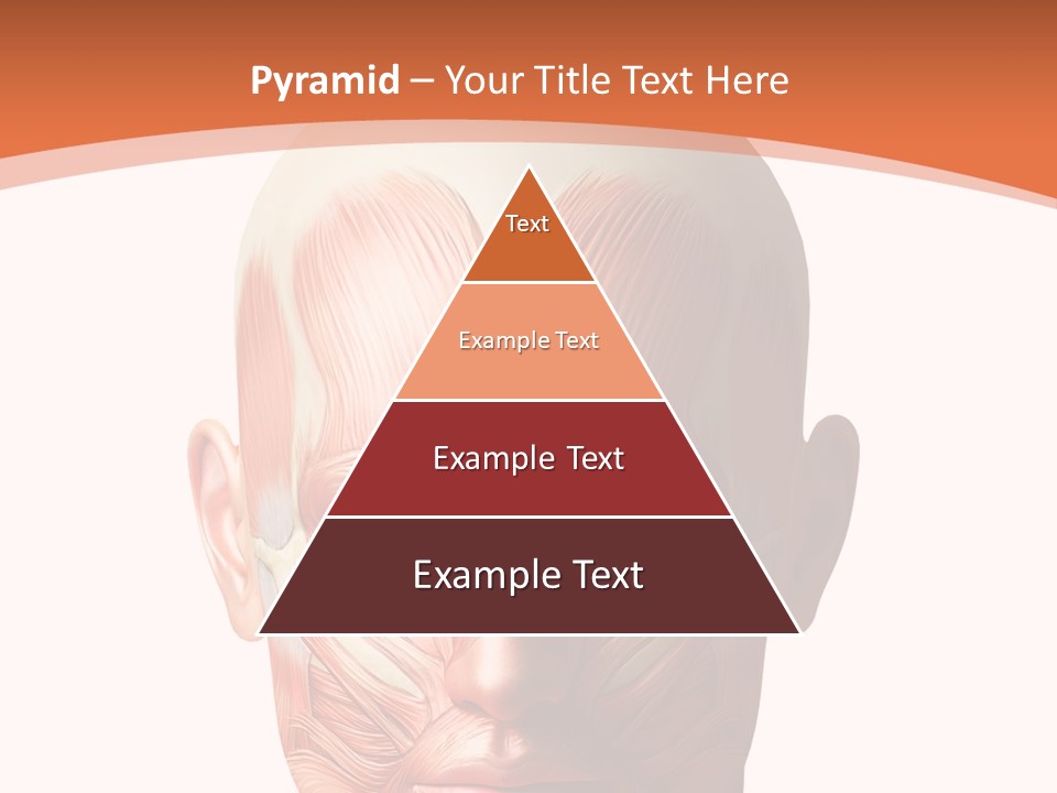 Group Company Bu Ine PowerPoint Template