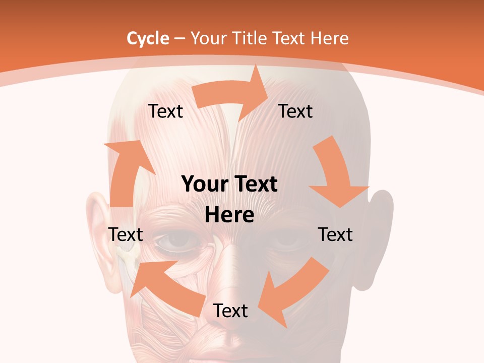 Group Company Bu Ine PowerPoint Template