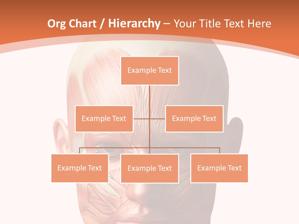 Group Company Bu Ine PowerPoint Template