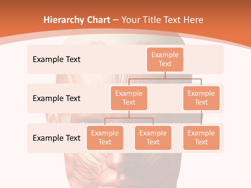 Group Company Bu Ine PowerPoint Template