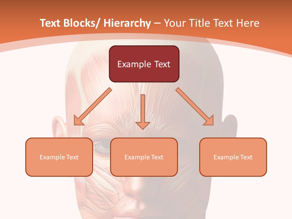 Group Company Bu Ine PowerPoint Template