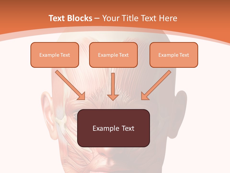 Group Company Bu Ine PowerPoint Template