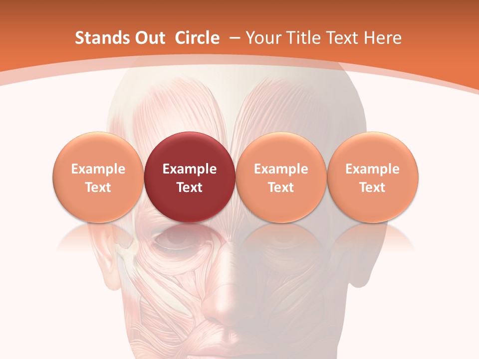 Group Company Bu Ine PowerPoint Template