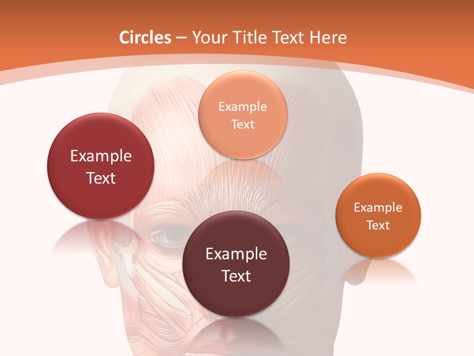 Group Company Bu Ine PowerPoint Template