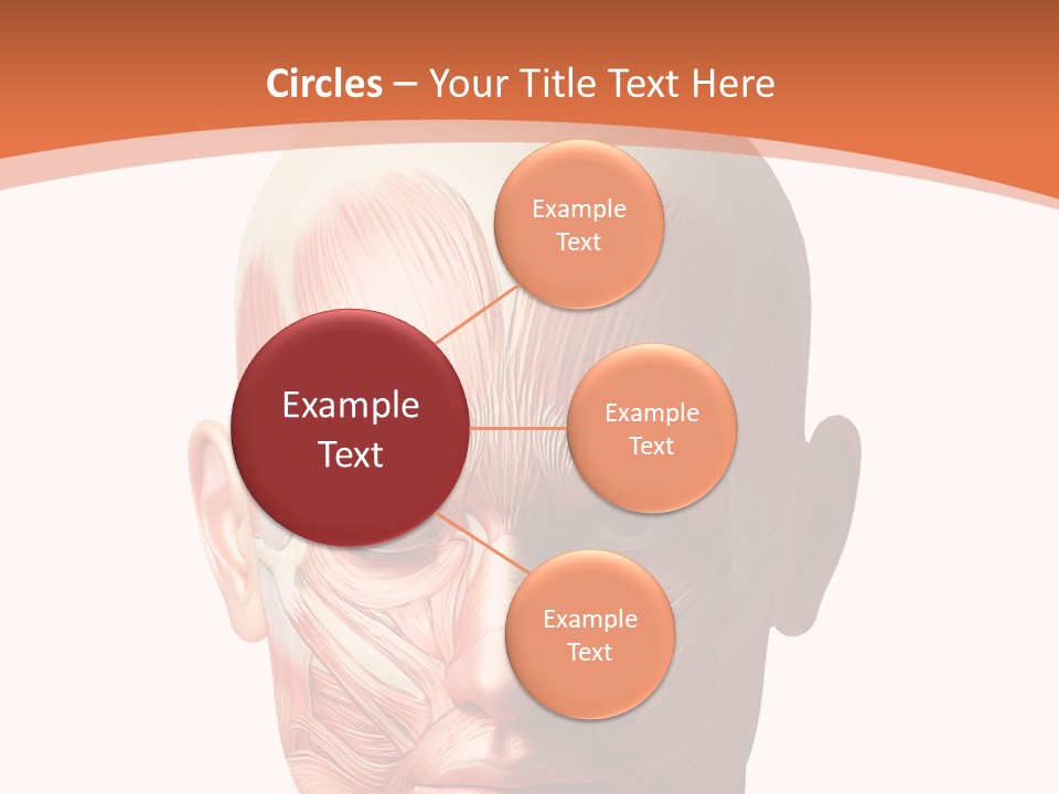 Group Company Bu Ine PowerPoint Template