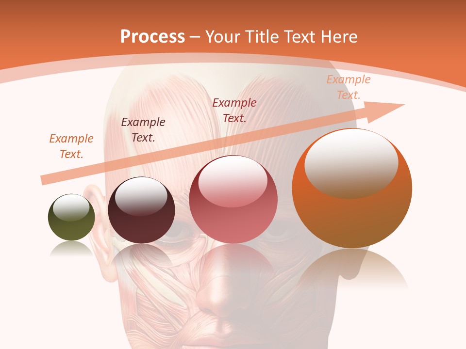 Group Company Bu Ine PowerPoint Template