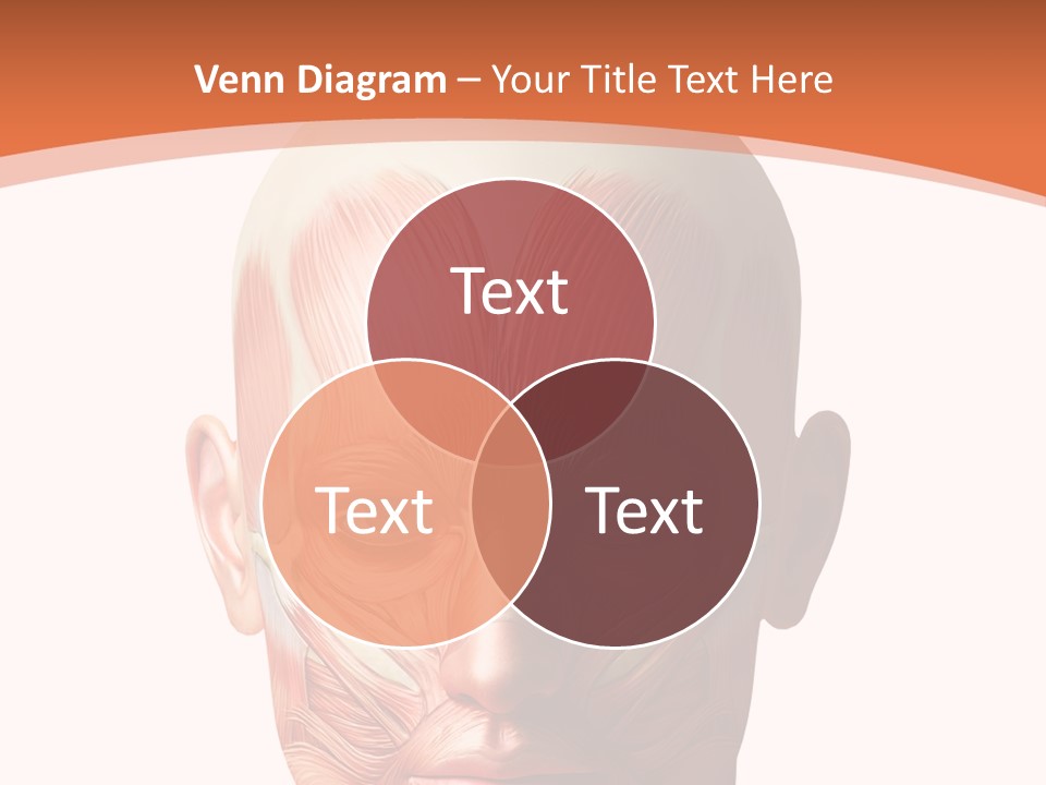 Group Company Bu Ine PowerPoint Template