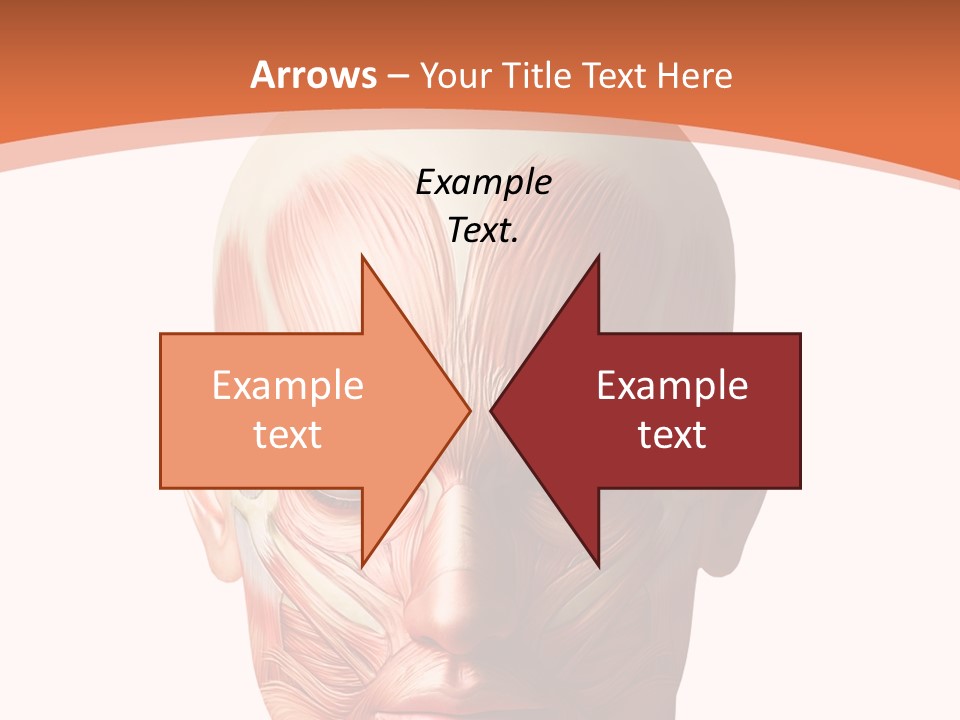 Group Company Bu Ine PowerPoint Template