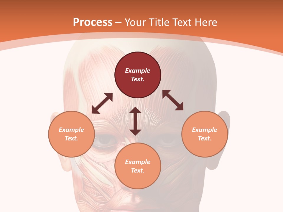 Group Company Bu Ine PowerPoint Template