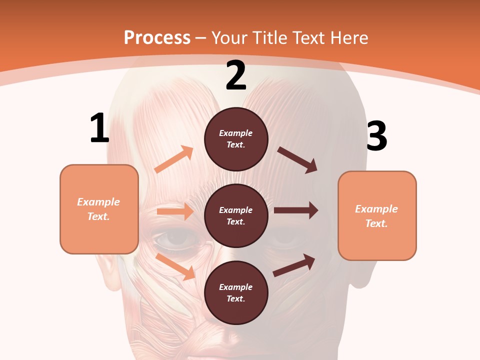 Group Company Bu Ine PowerPoint Template
