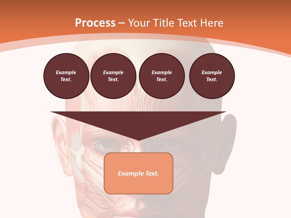 Group Company Bu Ine PowerPoint Template