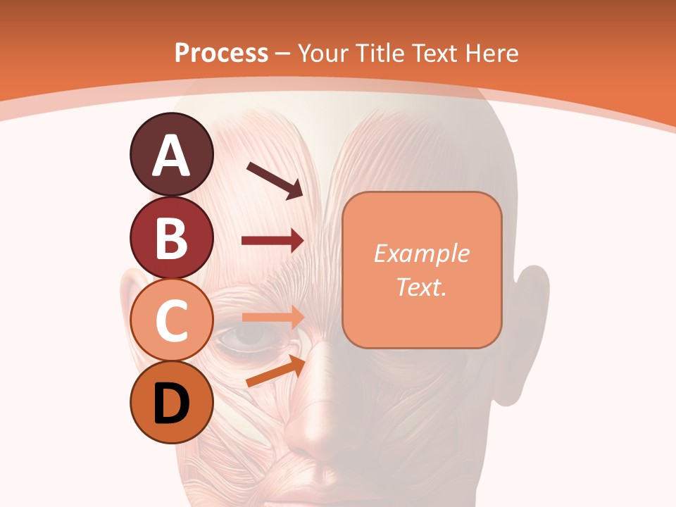 Group Company Bu Ine PowerPoint Template