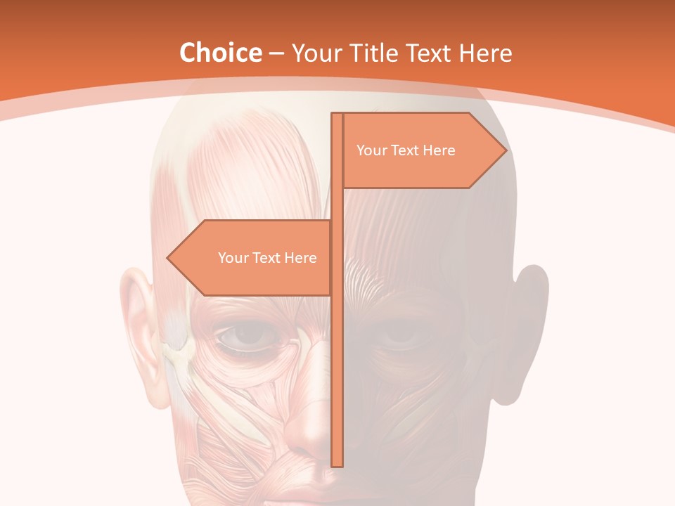 Group Company Bu Ine PowerPoint Template