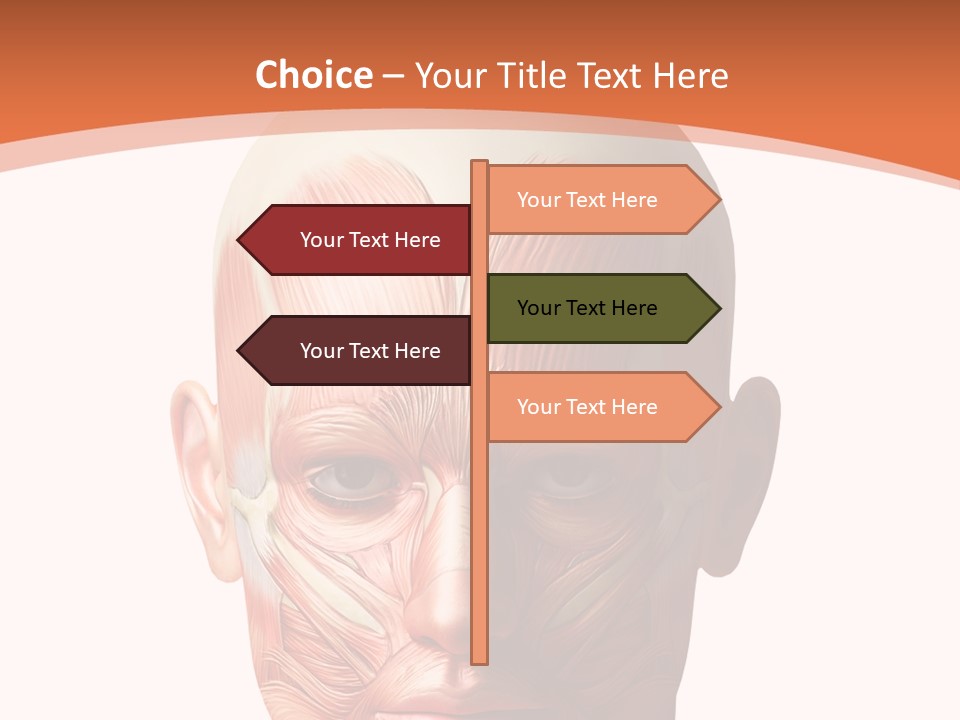 Group Company Bu Ine PowerPoint Template