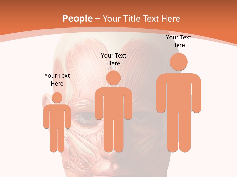 Group Company Bu Ine PowerPoint Template