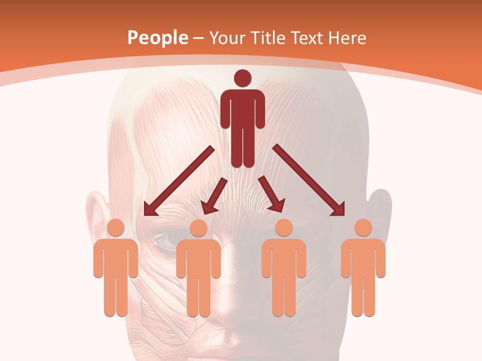 Group Company Bu Ine PowerPoint Template