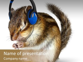 Funny Musical Animal PowerPoint Template