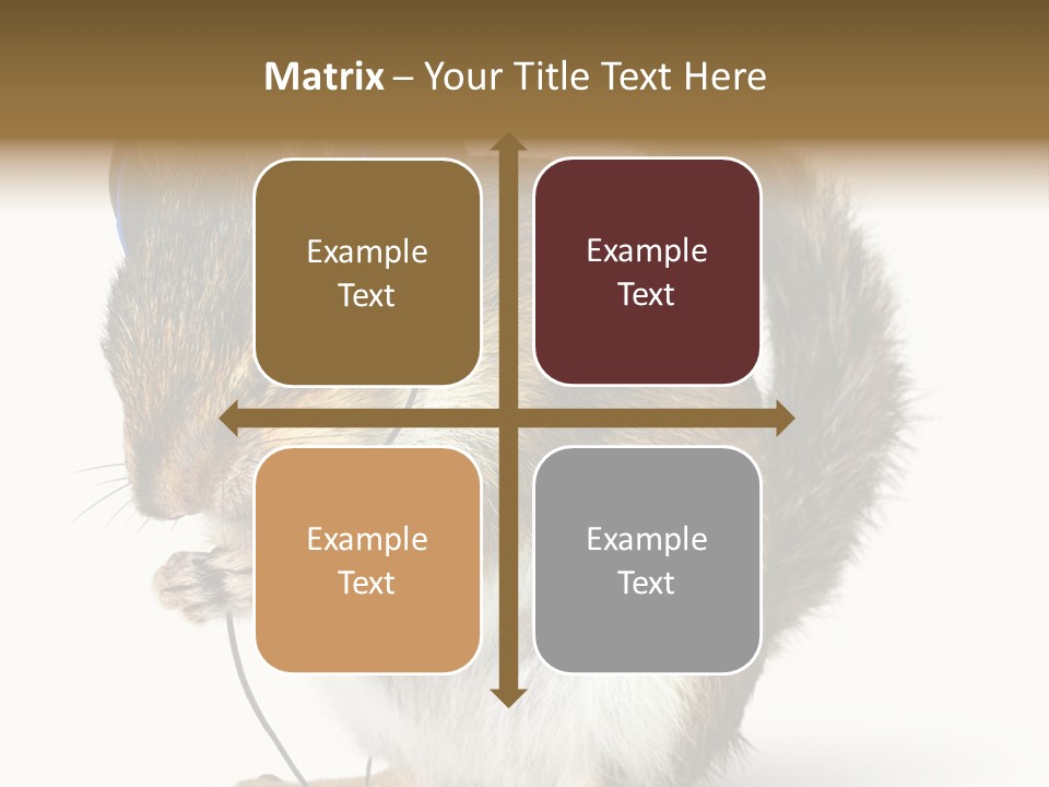 Funny Musical Animal PowerPoint Template