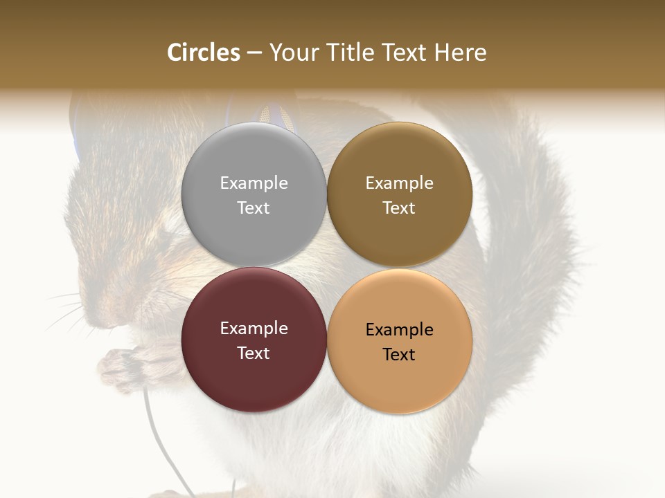 Funny Musical Animal PowerPoint Template