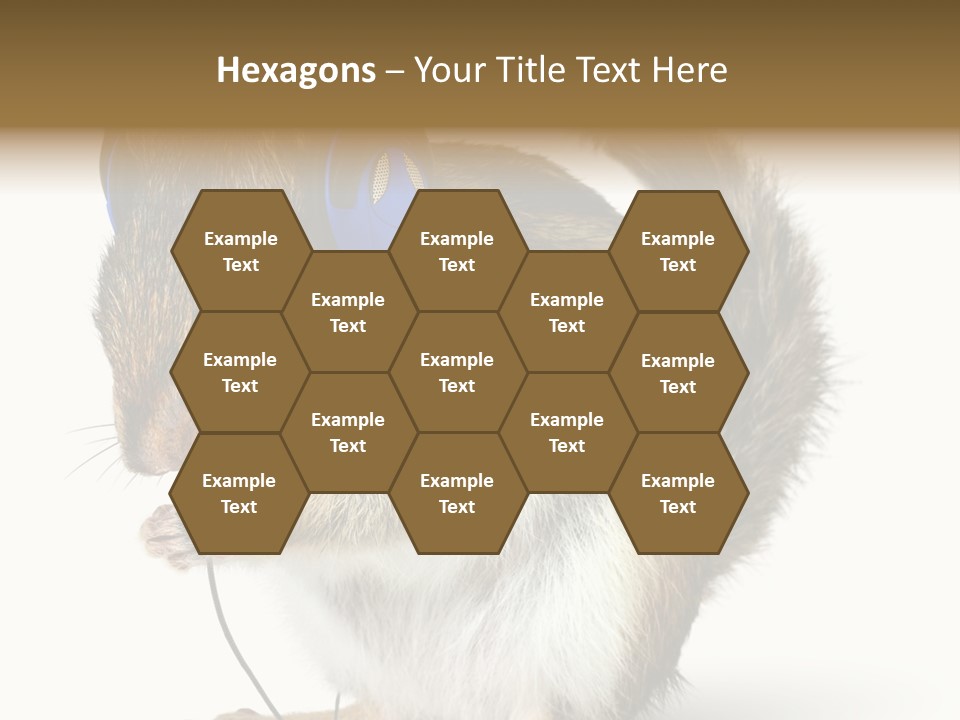 Funny Musical Animal PowerPoint Template