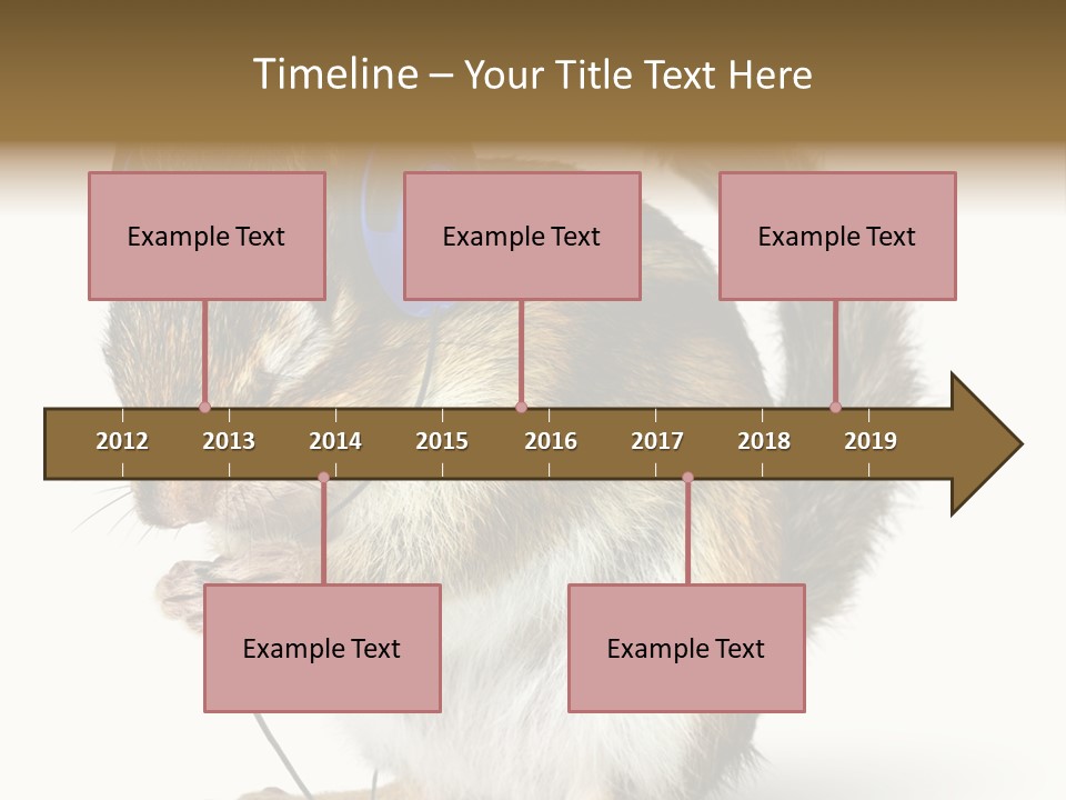 Funny Musical Animal PowerPoint Template