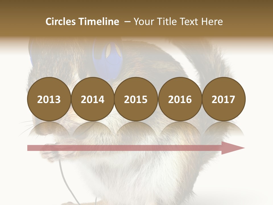 Funny Musical Animal PowerPoint Template