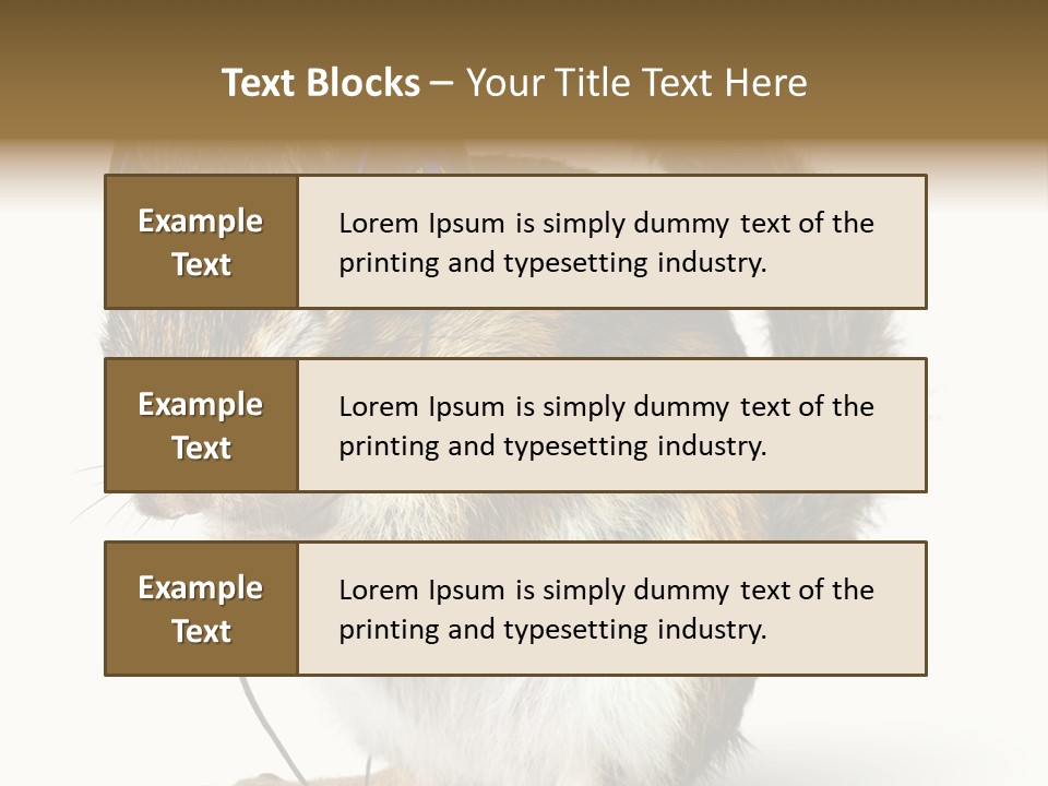 Funny Musical Animal PowerPoint Template