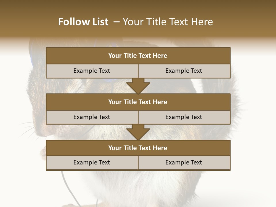 Funny Musical Animal PowerPoint Template