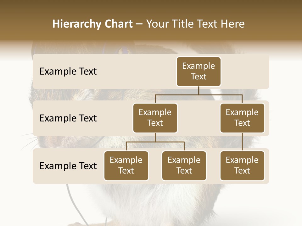 Funny Musical Animal PowerPoint Template