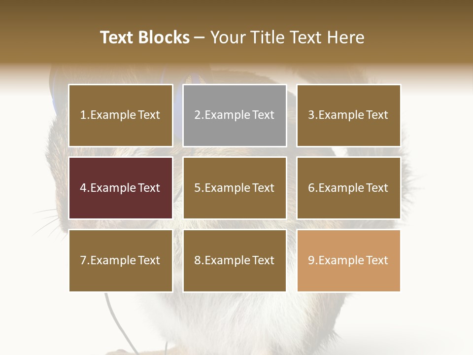 Funny Musical Animal PowerPoint Template