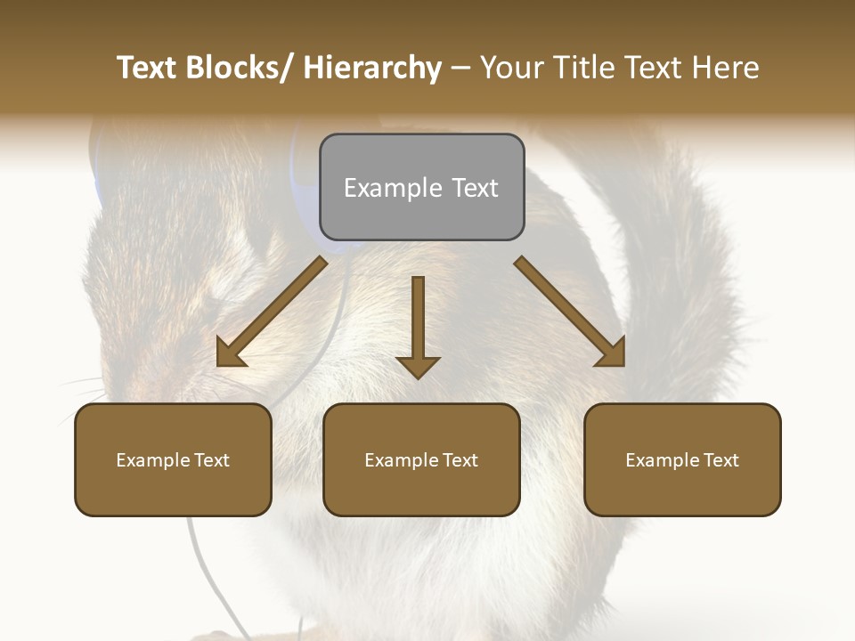 Funny Musical Animal PowerPoint Template