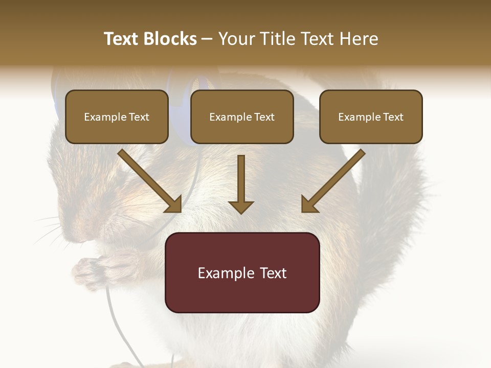 Funny Musical Animal PowerPoint Template