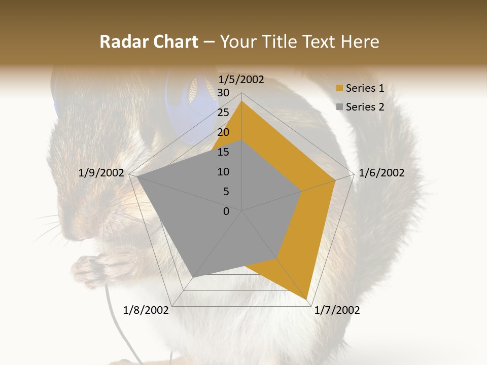 Funny Musical Animal PowerPoint Template