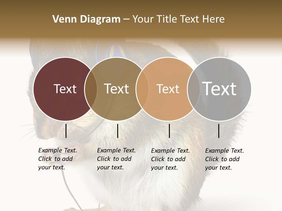 Funny Musical Animal PowerPoint Template