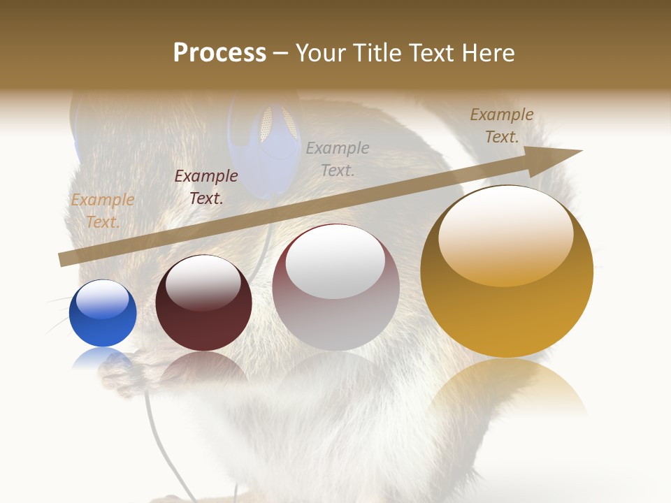 Funny Musical Animal PowerPoint Template