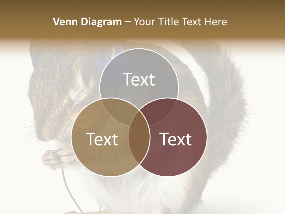 Funny Musical Animal PowerPoint Template