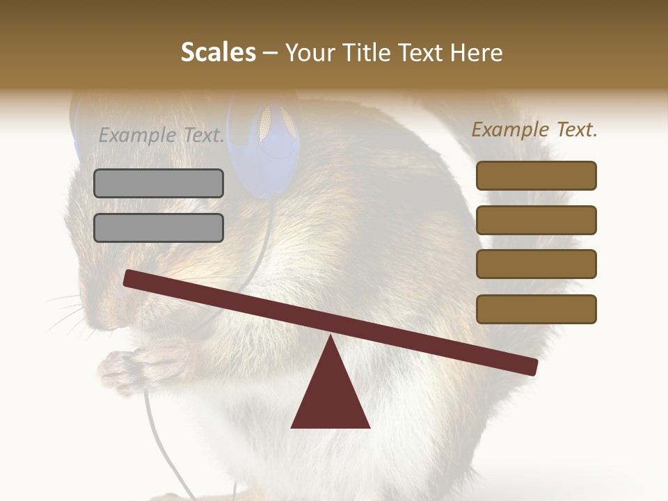 Funny Musical Animal PowerPoint Template