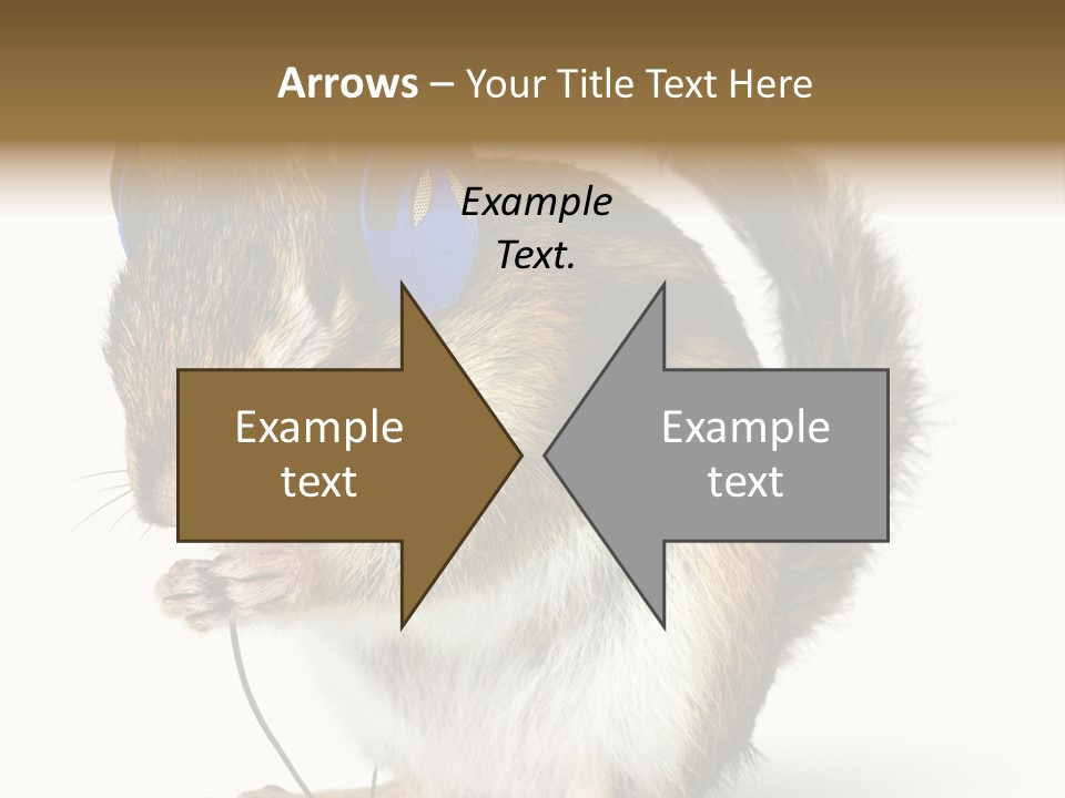 Funny Musical Animal PowerPoint Template