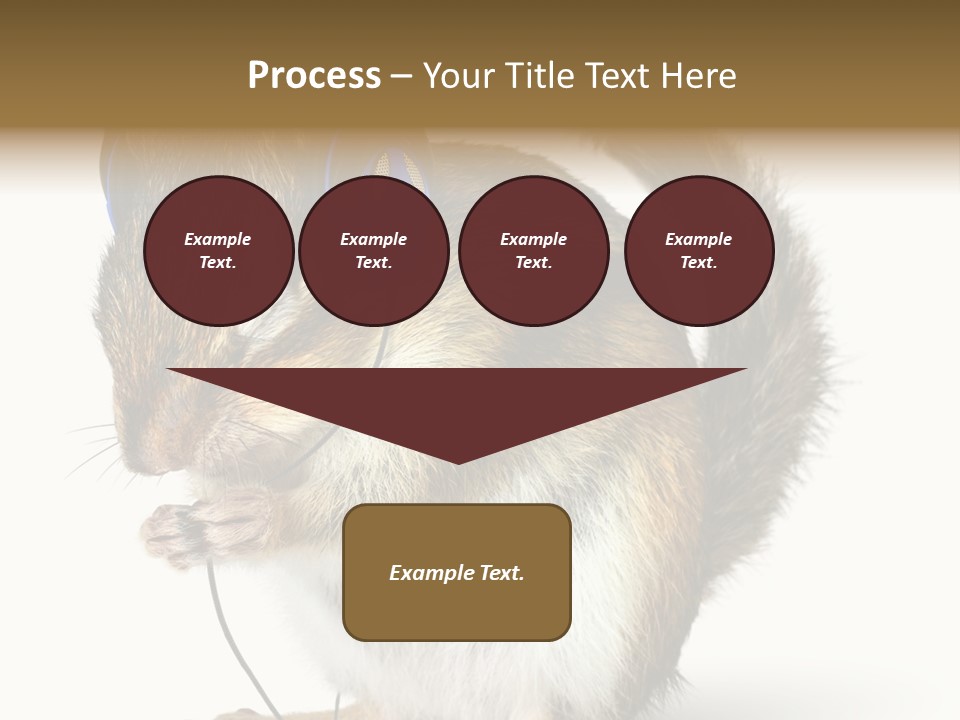 Funny Musical Animal PowerPoint Template
