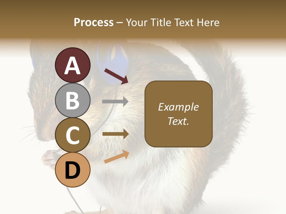 Funny Musical Animal PowerPoint Template