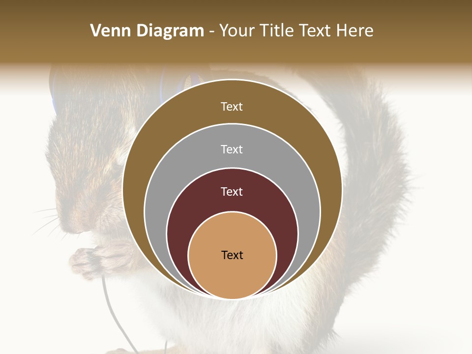 Funny Musical Animal PowerPoint Template