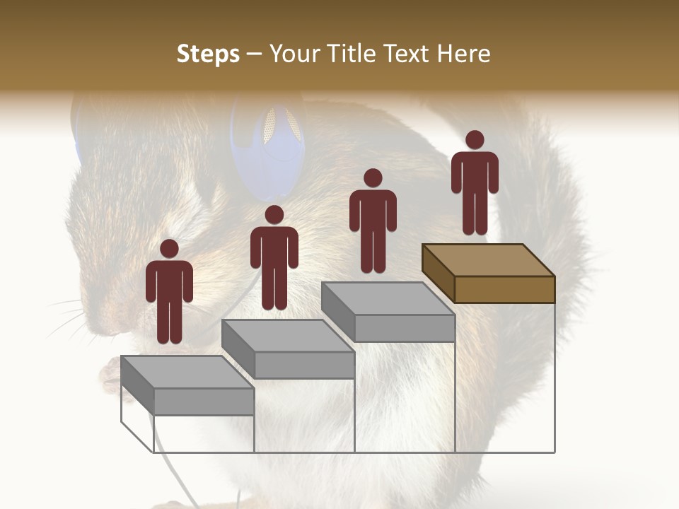 Funny Musical Animal PowerPoint Template